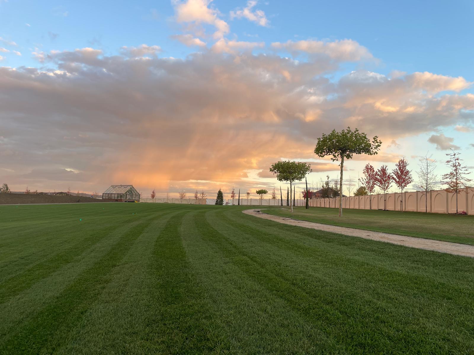 80f8be78-7a3d-45e0-8f25-4051a4e67b35