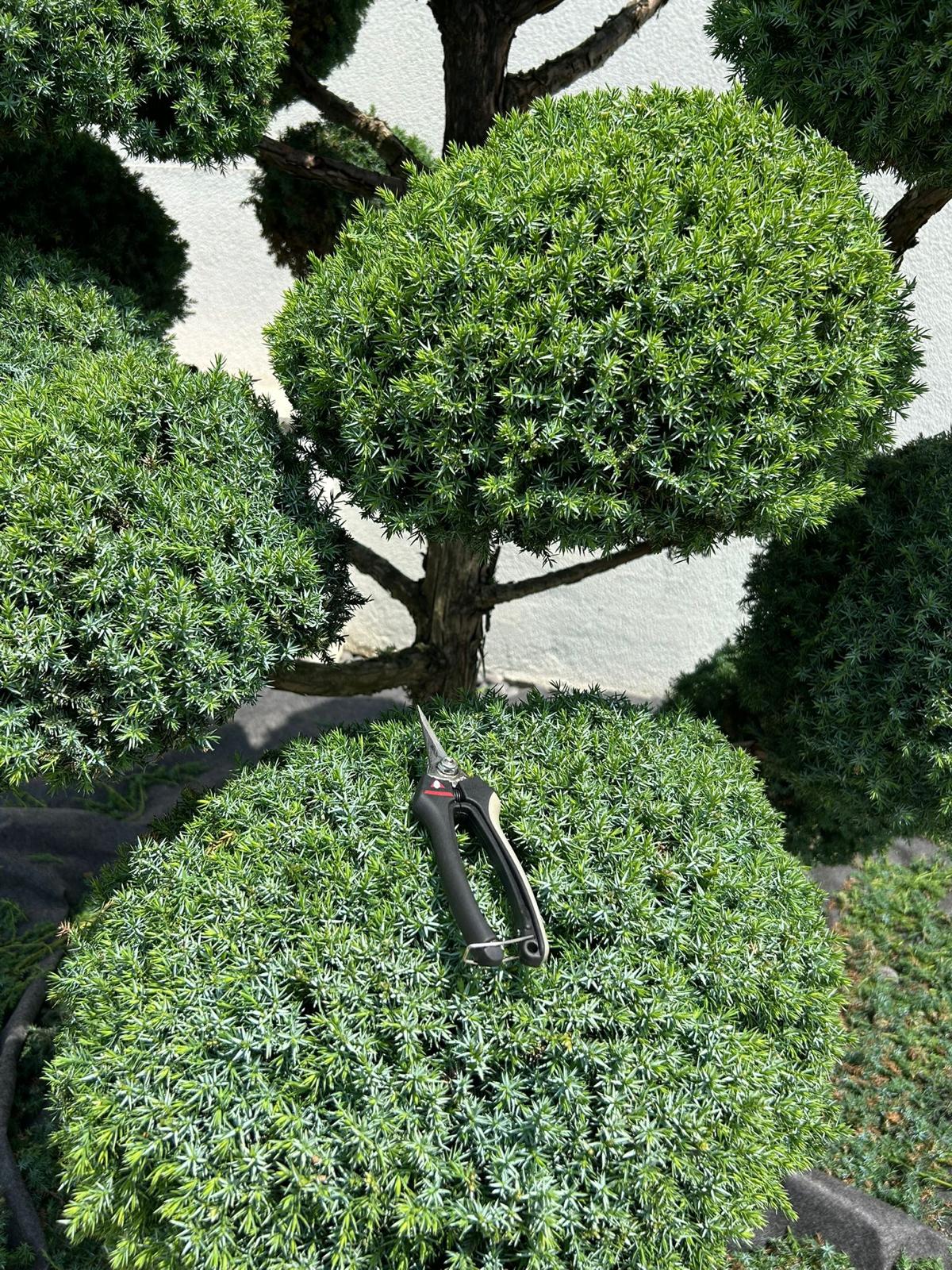 WhatsApp Image 2026-01-28 at 23.35.20